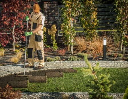 شركة تركيب عشب طبيعي شركة تركيب عشب طبيعي