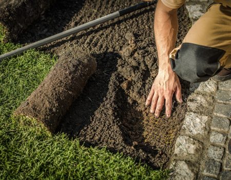 شركة تركيب عشب صناعي شركة تركيب عشب صناعي